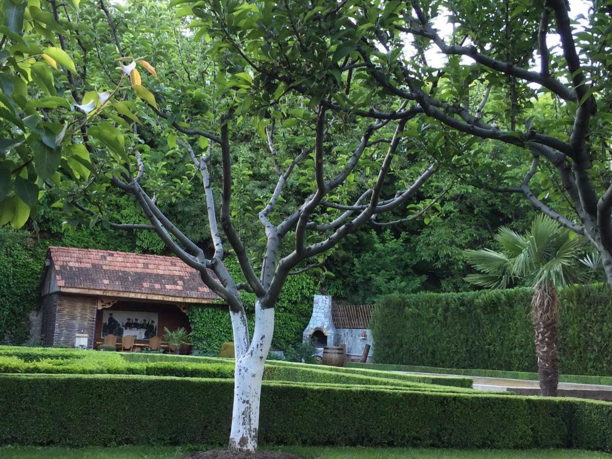 Aragvi Valley Villa Tsitelsopeli Екстериор снимка