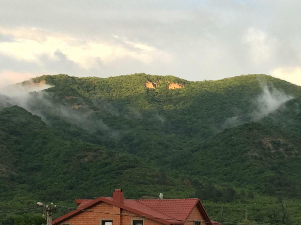 Aragvi Valley Villa Tsitelsopeli Екстериор снимка
